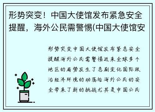 形势突变！中国大使馆发布紧急安全提醒，海外公民需警惕(中国大使馆安全吗)